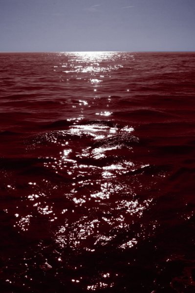 Красная река (River Runs Red)