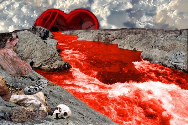 Красный пляж Паньцзинь рыба