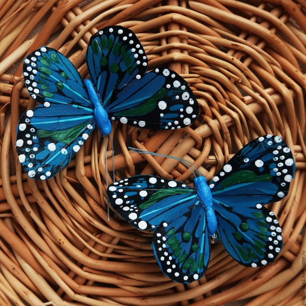 Бабочка морская волна