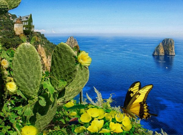 Море бабочек