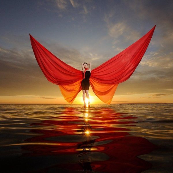 Бабочка на рассвете