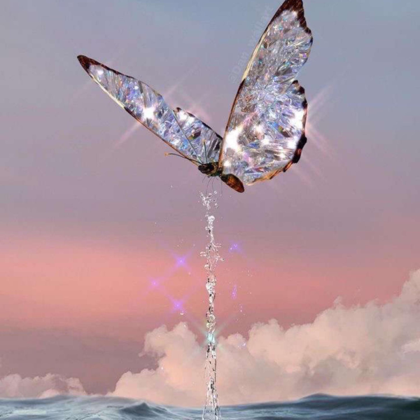 Бабочки в небе