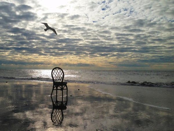 Белое море туман