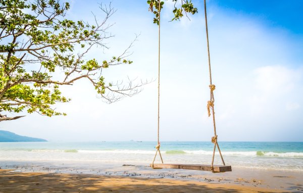 Качели на дереве