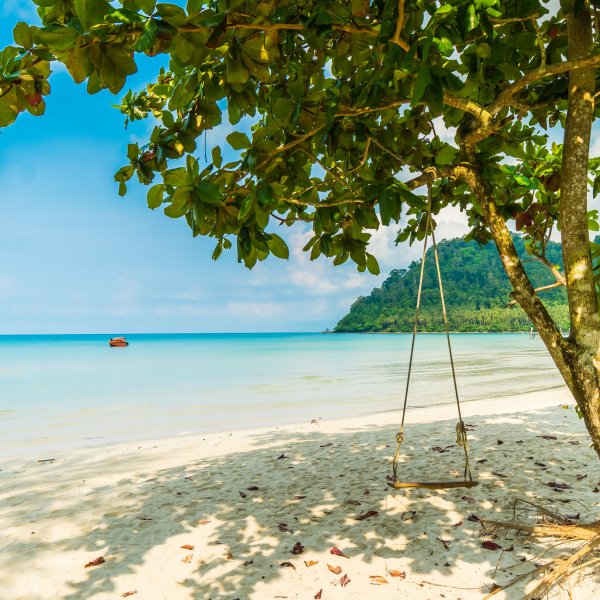 Качели на берегу