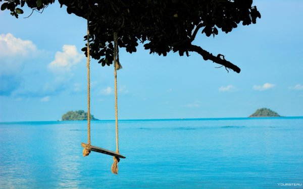 Качели на дереве