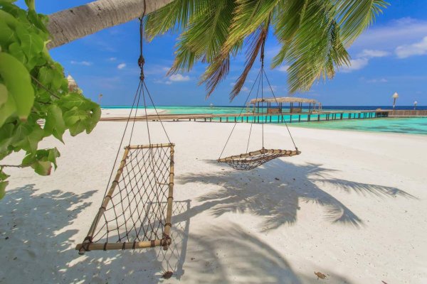 AAAVEEE nature's остров