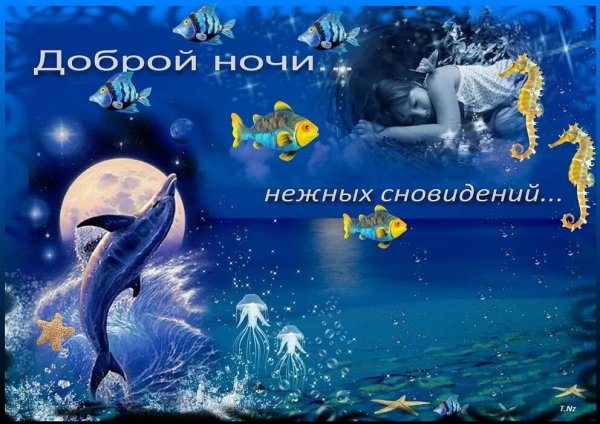 Приятных снов хорошего отдыха