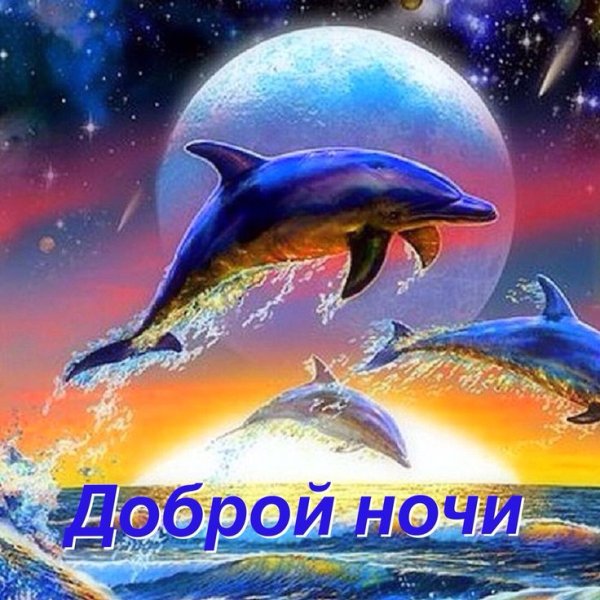 Доброй ночи друзья