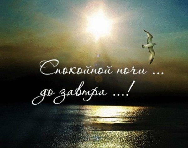 Доброй ночи