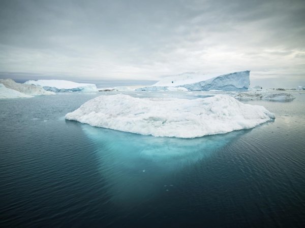 Ледниковый Фьорд Илулиссат Гренландия