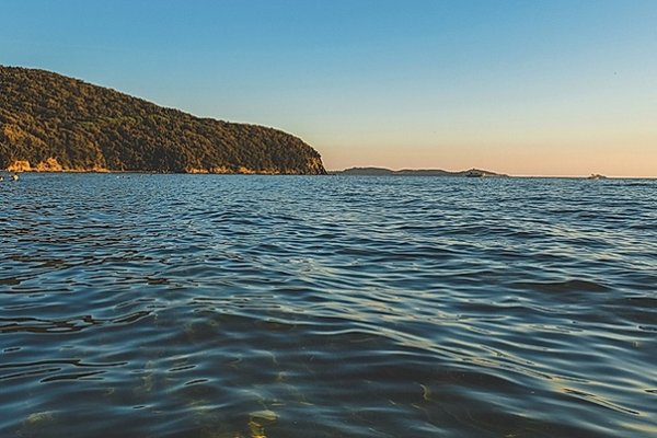 Доминикана волны