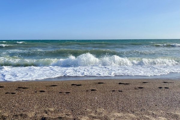 Море правды