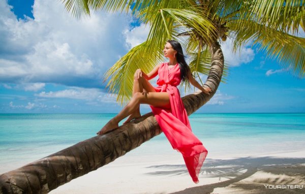 Девушка под пальмой