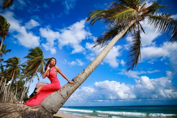 Девушка под пальмой