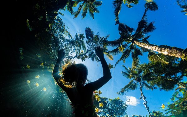 Море пальмы девушка