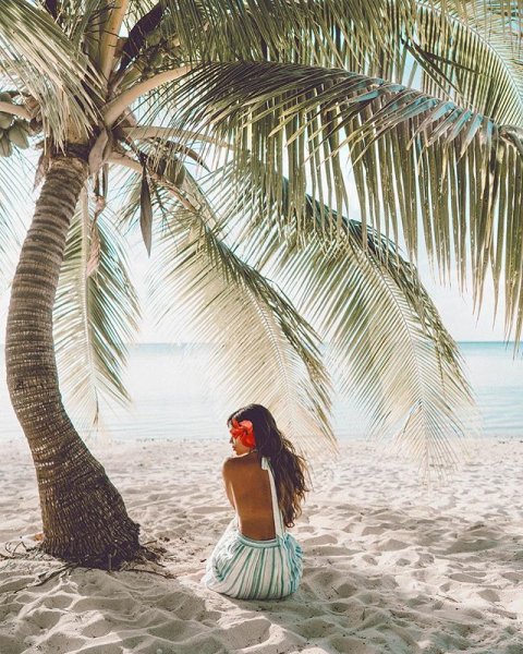 Силуэт девушки в гамаке, натянутом между двумя пальмами — Фотографии для аватара