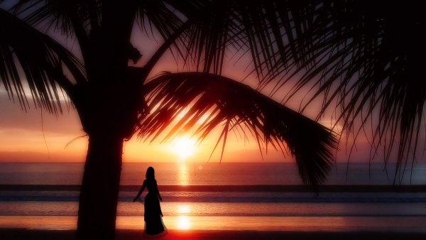 Пальмы на фоне заката