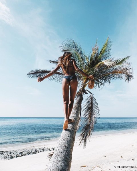 Море пальмы девушка