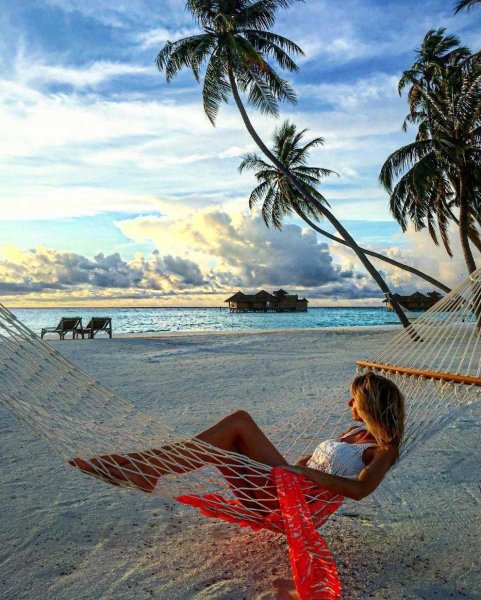 Фотосессия с пальмами