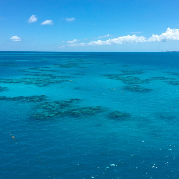 Атлантический океан Саргассово море