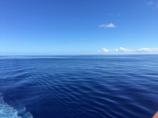 Саргассово море вода