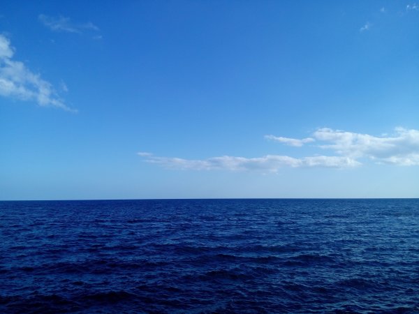 Атлантический океан Саргассово море