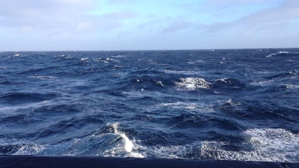 Саргассово море море без берегов