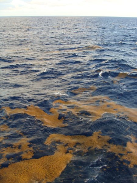 Бескрайнее море