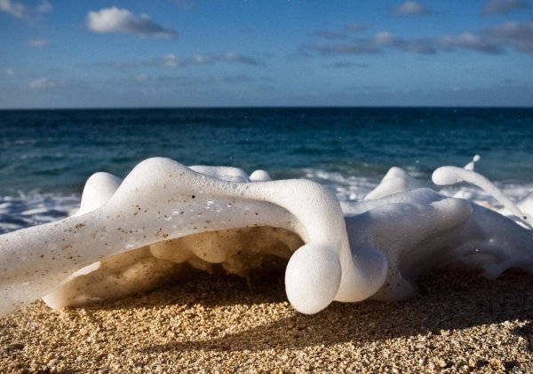 Море Вдохновение