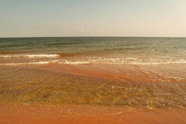 Азовское море станица Голубицкая