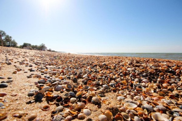 Тамань станица Голубицкая