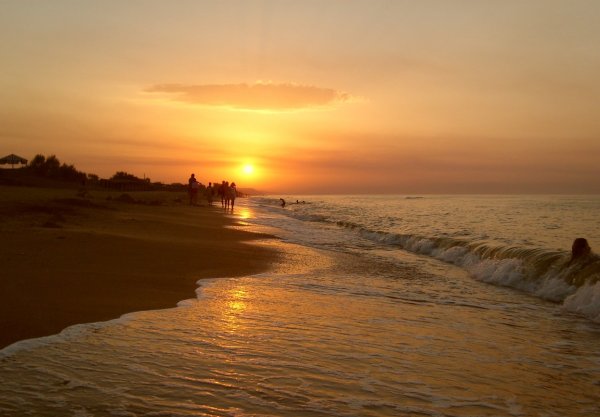 Ракушечный пляж на Азовском море