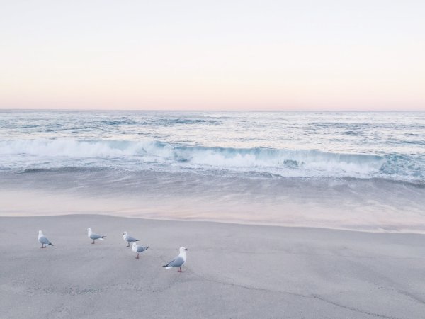 Море в белых тонах