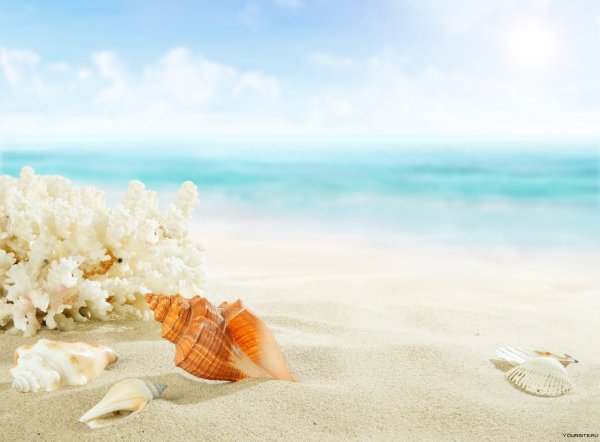 Море в пастельных тонах