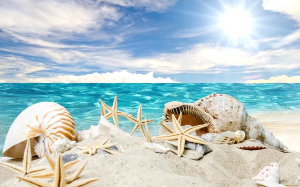 Закат на море