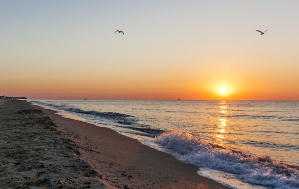 Солнечное черное море