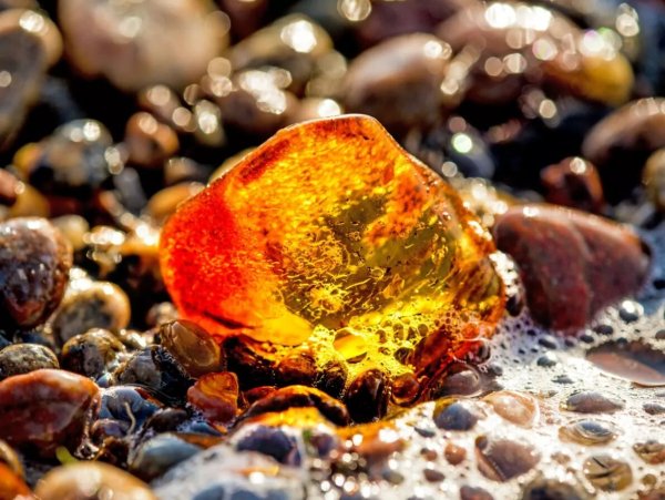 Балтийское море янтарь