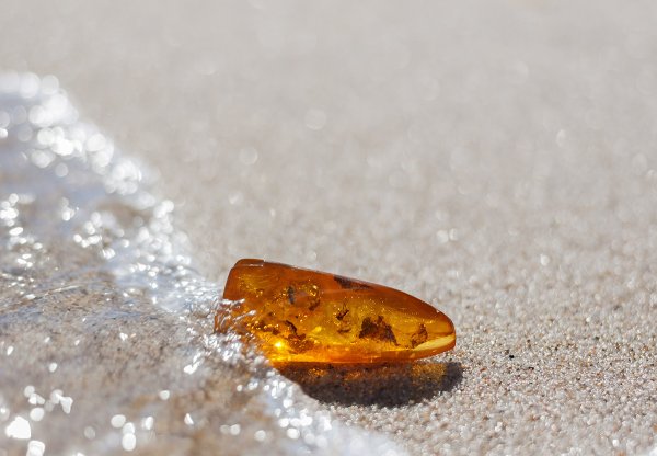 Балтийское море янтарь