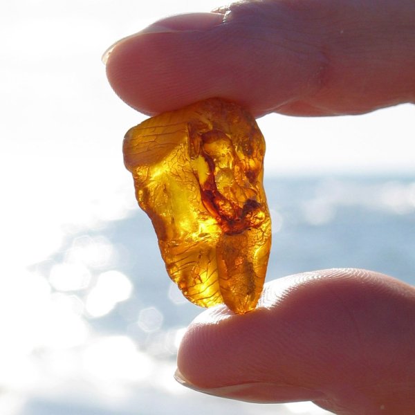 Балтийское море янтарь