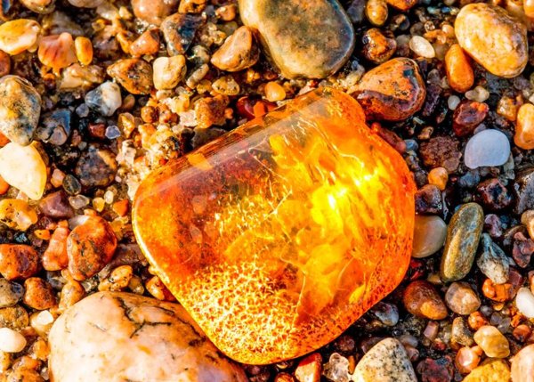 Янтарь солнце Калининграда