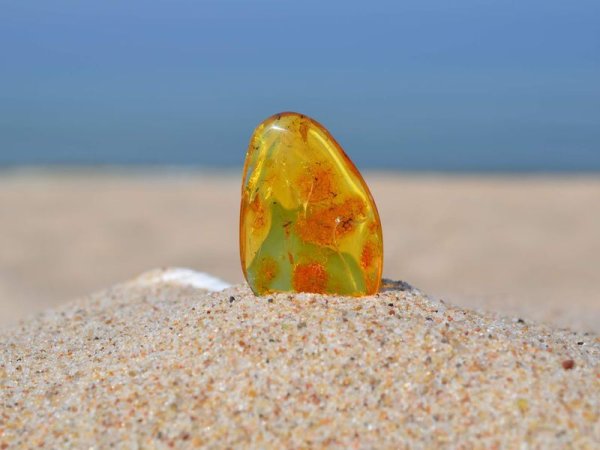 Балтийское море Калининград Янтарный