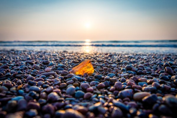 Балтийского моря янтарь янтаря