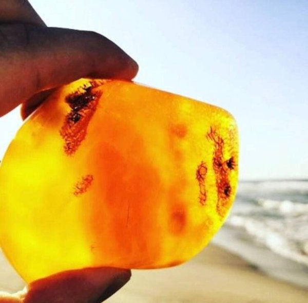 Море янтарь камни