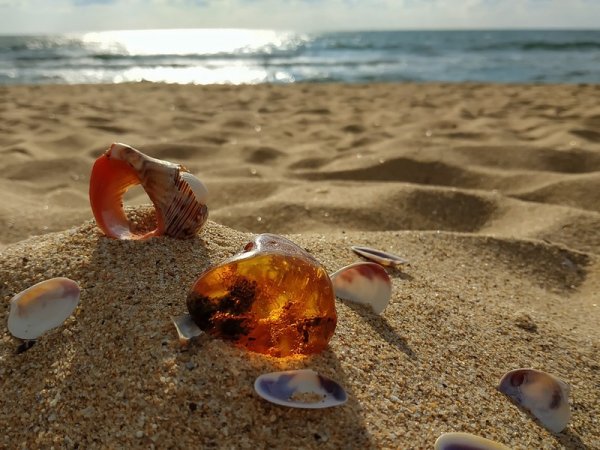 Янтарный край Калининградской