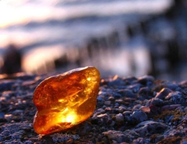 Янтарный край Калининград