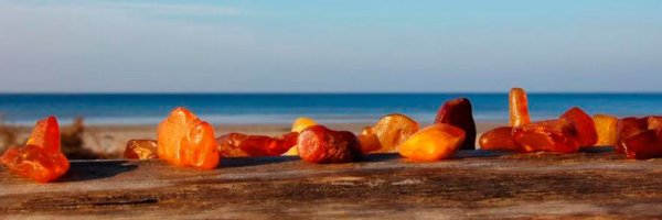 Янтарь на берегу моря