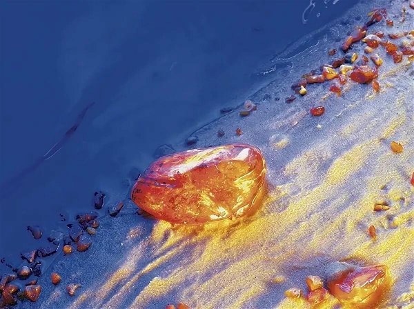 Янтарь на берегу Балтийского моря в Калининграде