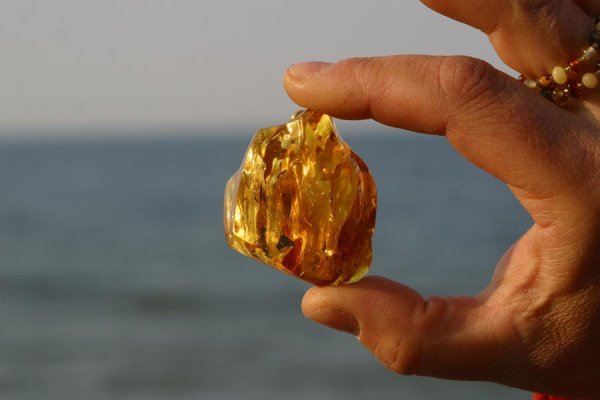 Балтийский янтарь Калининград