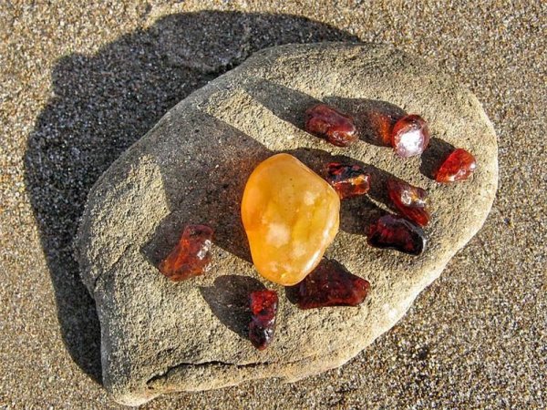 Калининград Балтийское море янтарь